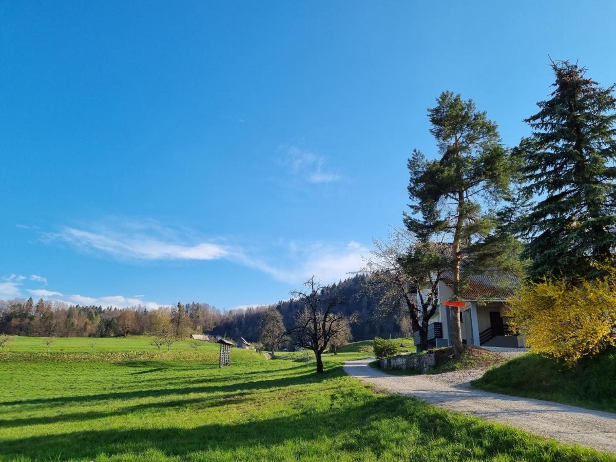 M&M Apartment Zgornje Gorje Zewnętrze zdjęcie